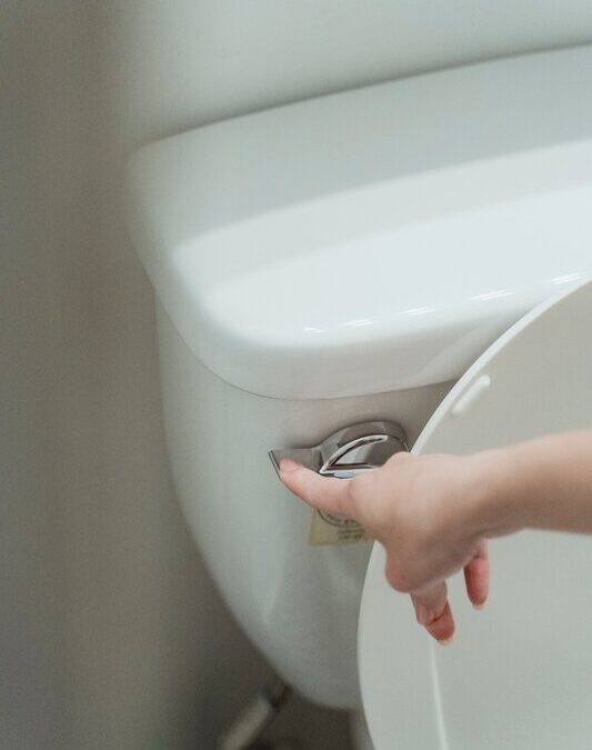 Toilet Installation: 6 Fast and Easy Steps To Be Successful